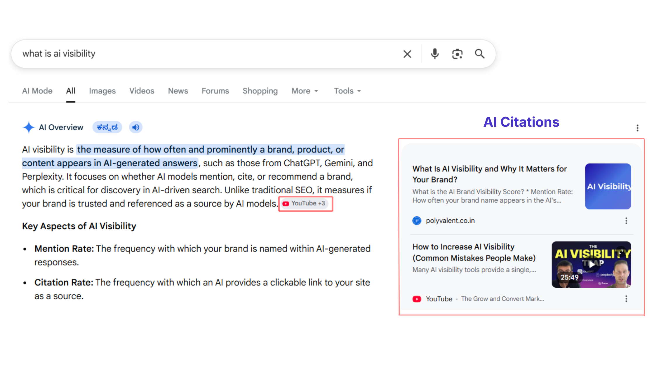 AI citations